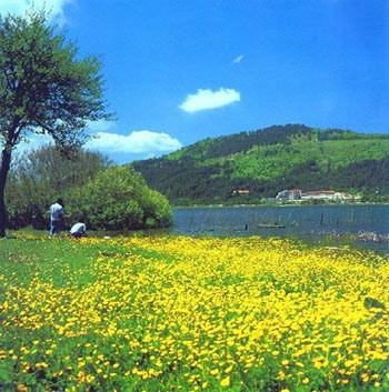 Hangi İlimizin Neyi Meşhur