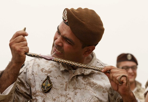 Asker yılanı canlı canlı yedi !