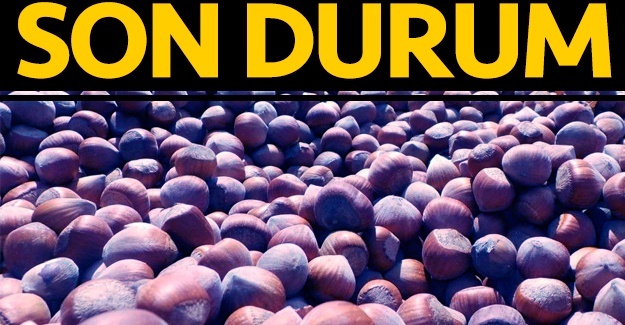25 Eylül Çarşamba güncel fındık fiyatları! Fındık kaç lira